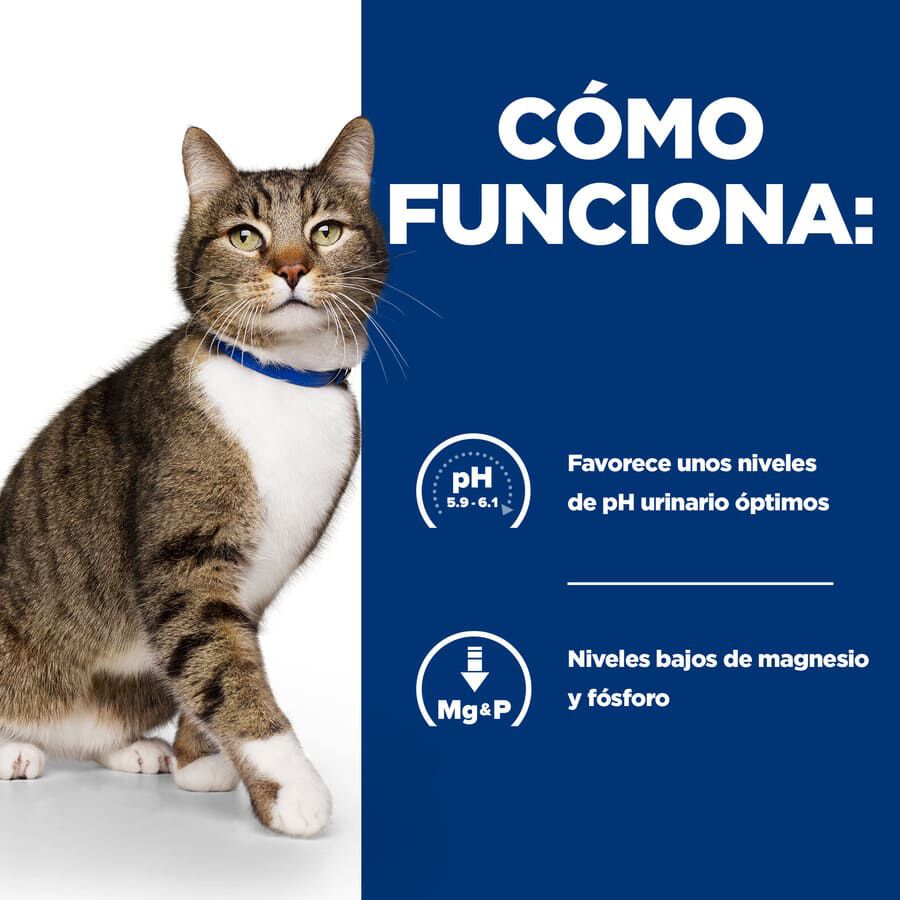 3 kg Hill's Prescription Diet Urinary Care s/d Pollo pienso para gatos, , large indicador imagen numero 3
